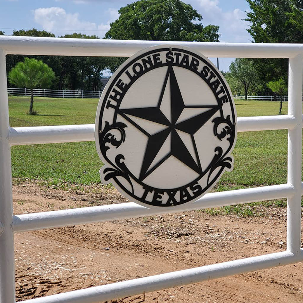 The Lone Star State Texas - Black - 14
