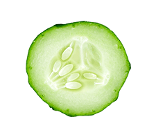 Cucumber