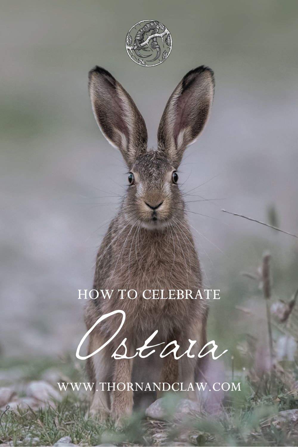 Ostara and how to celebrate