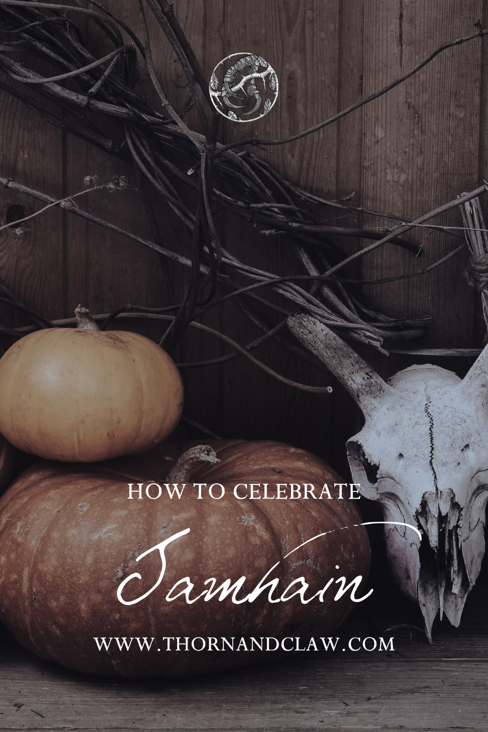 5 ways to celebrate Samhain with traditional rituals