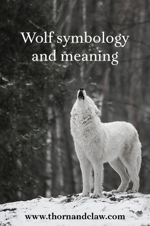 Wolf symbology and wolf meaning. Wolves in mythology. 