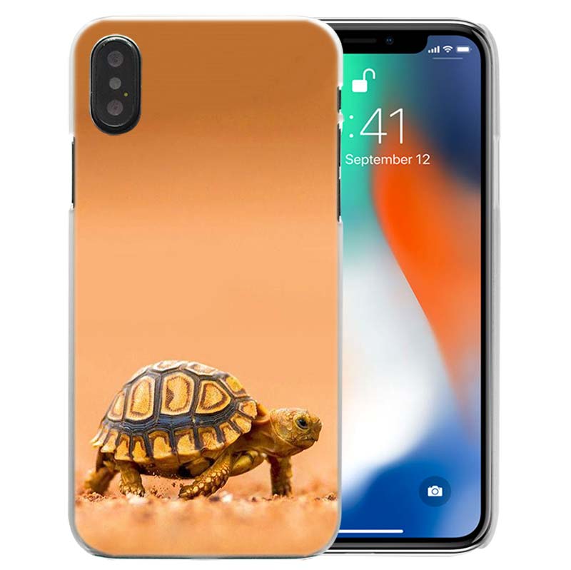 turtle box coque iphone 6