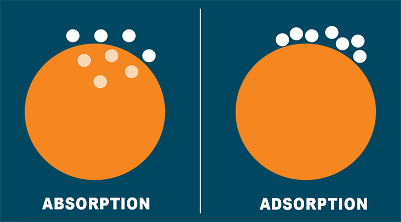 Adsorption vs Absorption in Nitrogen Generation