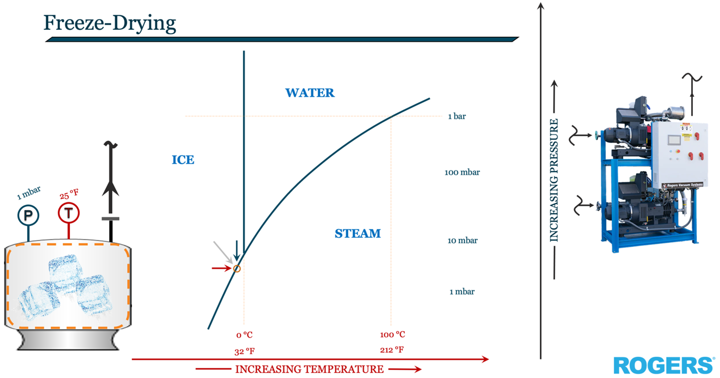 a chart detailing the moment sublimation occurs in freeze drying