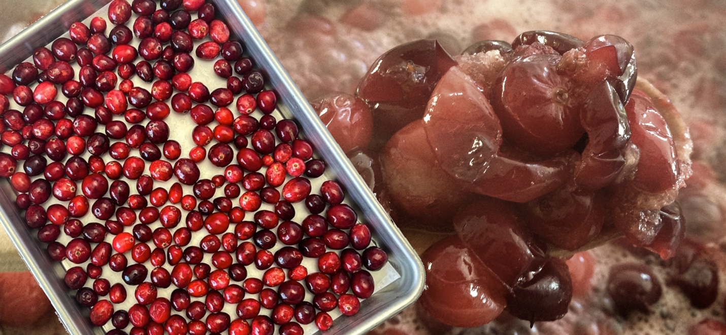 fresh cranberries in a tray sit next to mushy cranberries