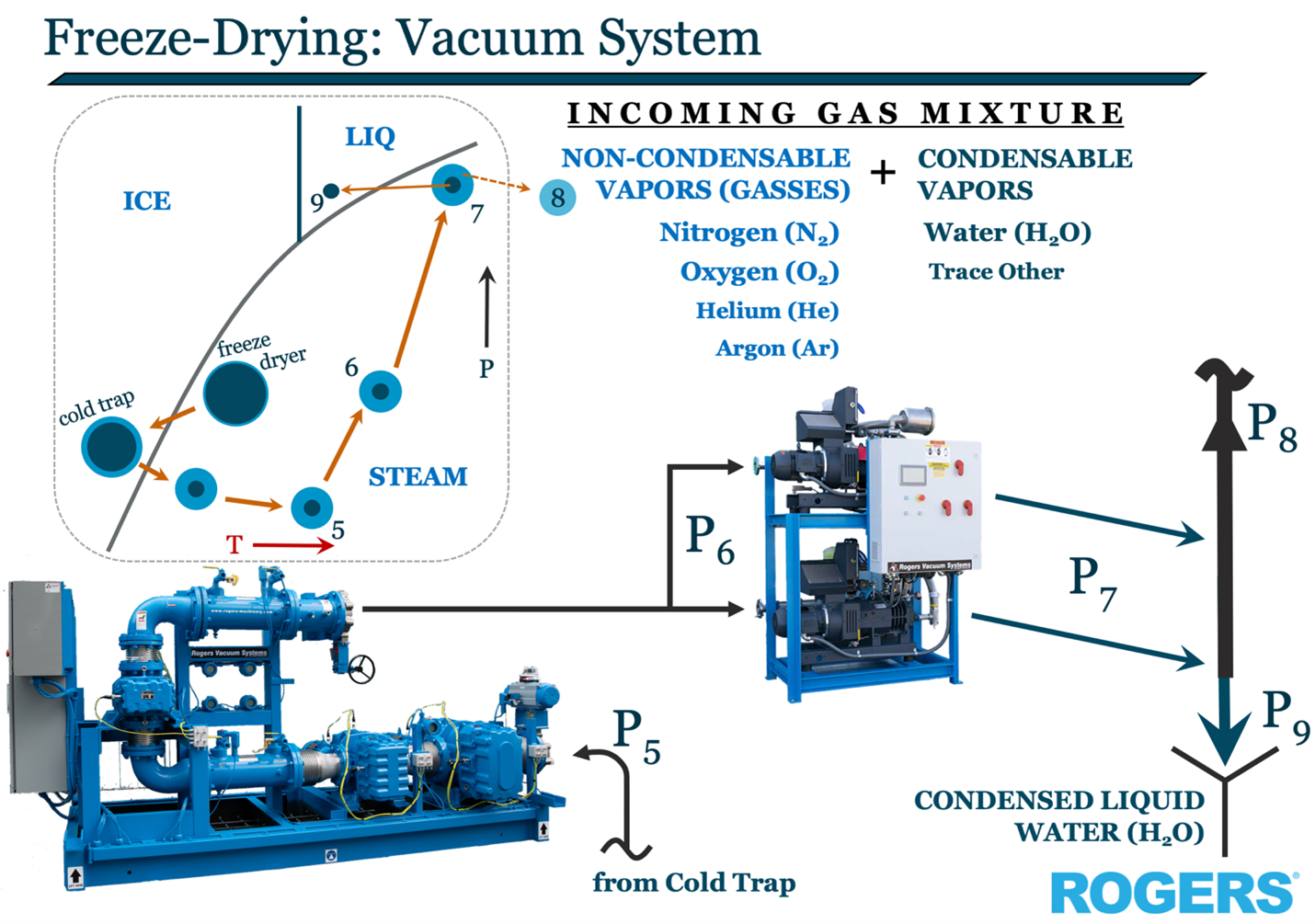 a chart of the freeze-drying vacuum system