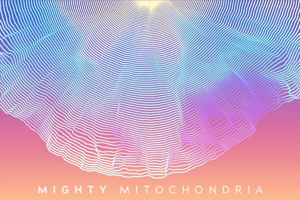 Mighty Mitochondria
