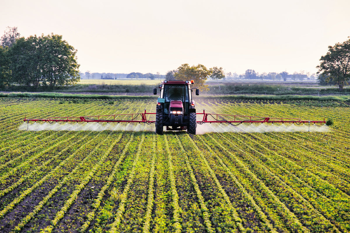 Genetically modified soybean field being sprayed