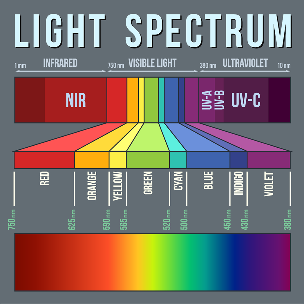 The Electromagnetic Spectrum with wavelengths of Infrared, Visible Light, UV Light.