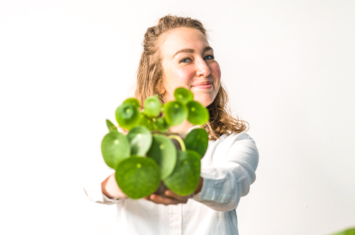 Pflanzen mit Symbolik: Frau mit Pilea in den Händen Pflanzen mit Symbolik: Frau mit Pilea in den Händen