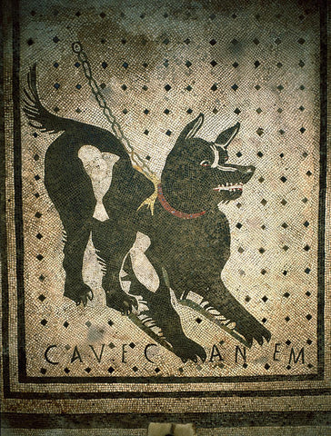 Cave Canem(beware of the dog), Mosaic 66 x 66 cm, I century B.C., from Pompeii, House of the Tragic Poet