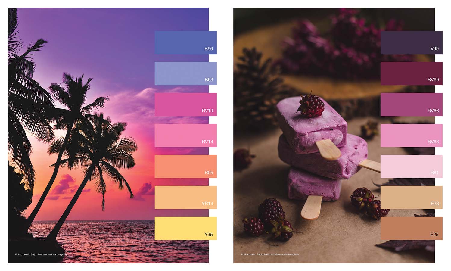 Violet And Orange Color Palette  Orange color palettes, Purple color  palettes, Purple palette