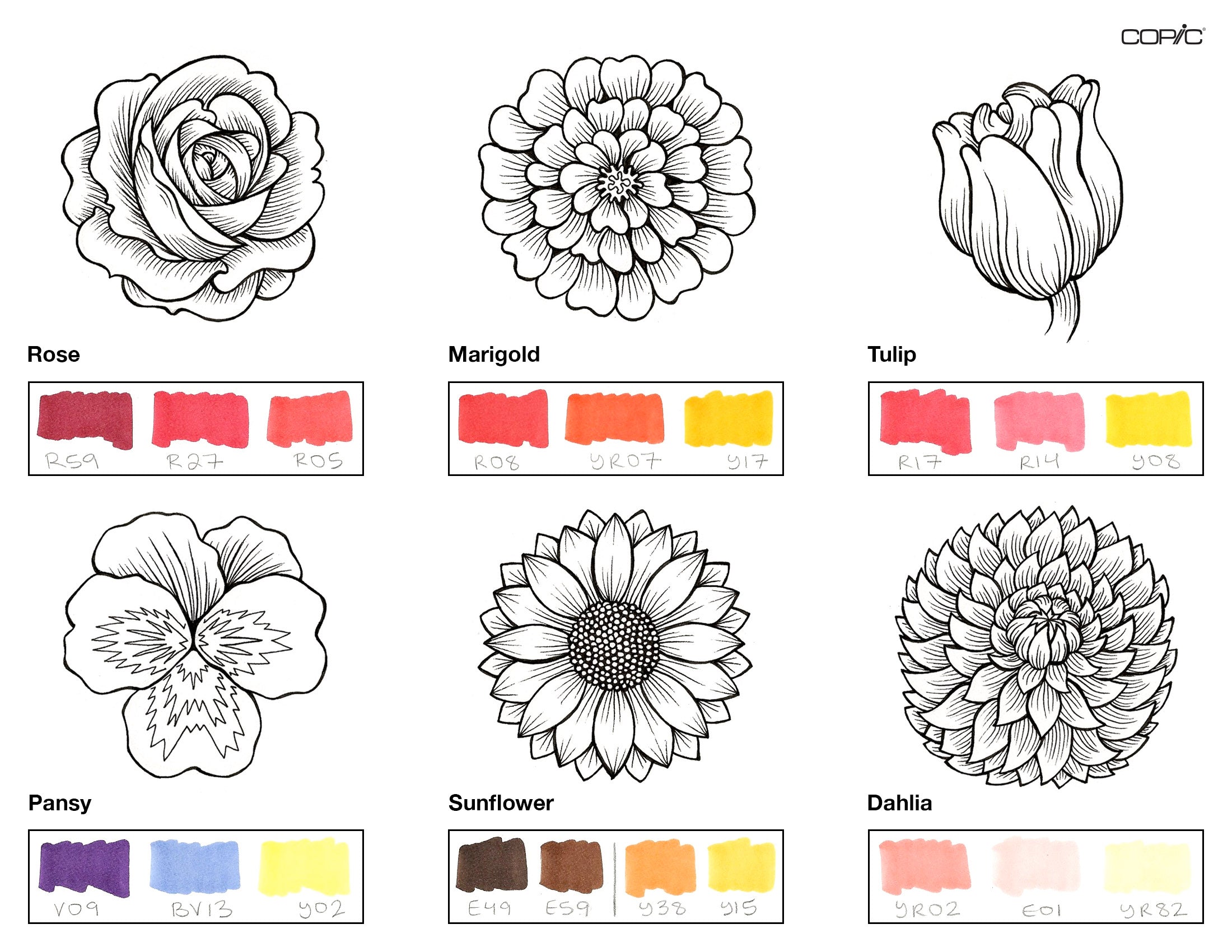 Flowers Coloring_1A step 1