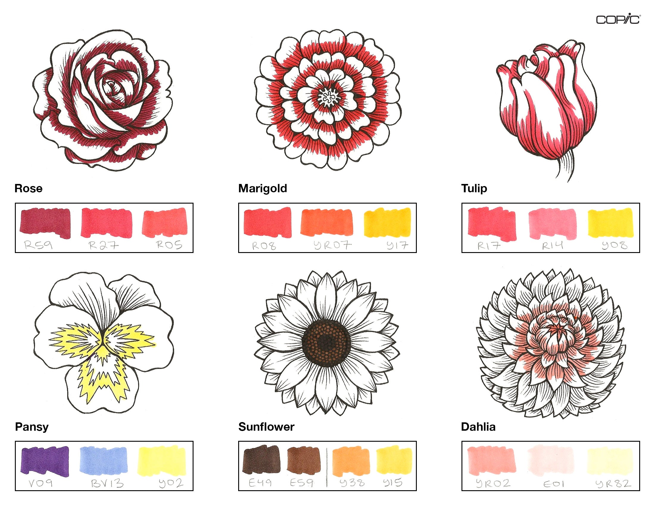 Transparent Lily Png - Flower Lily Drawing Color, Png Download - kindpng