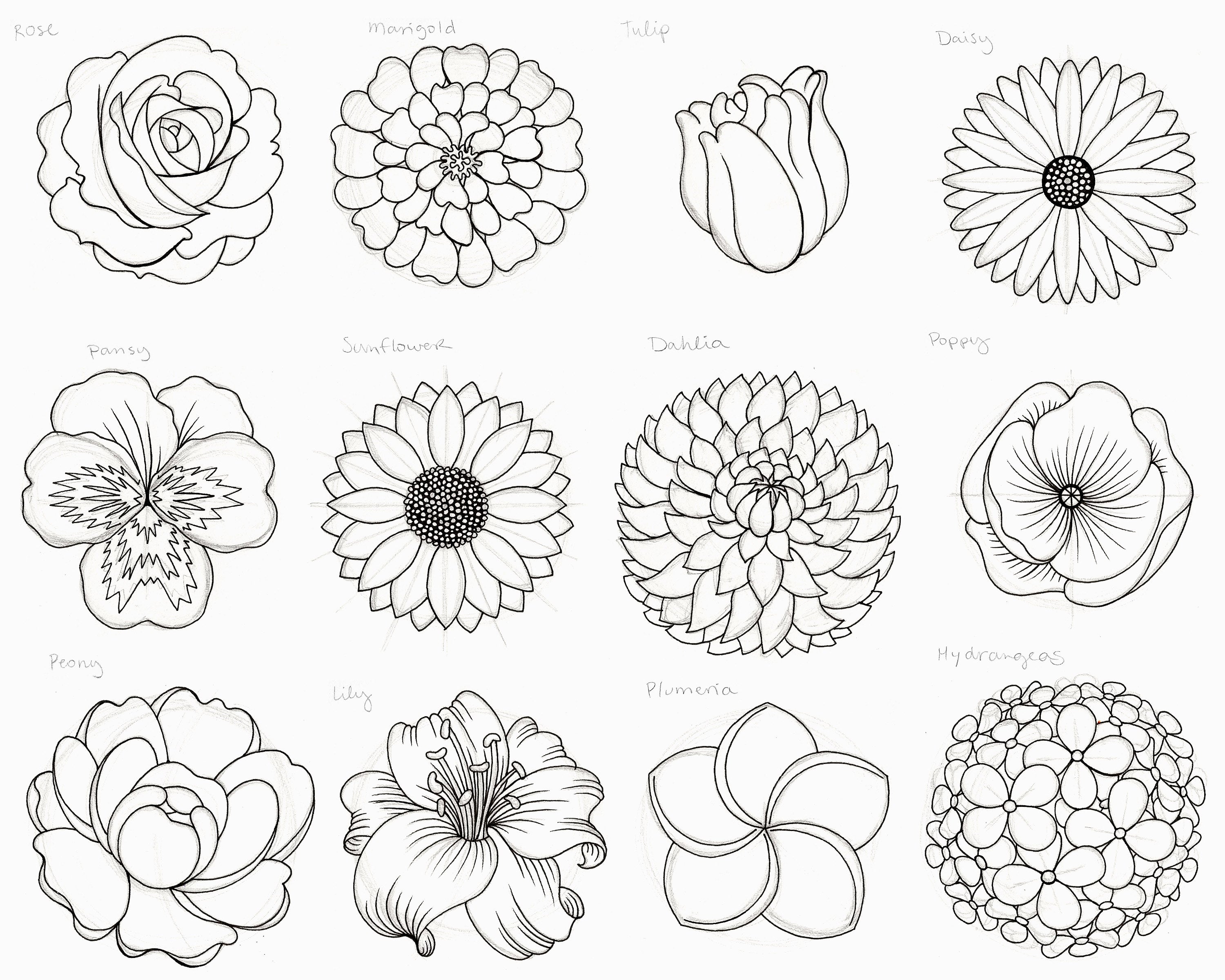 How To Draw A Flower Step By Step For Beginners