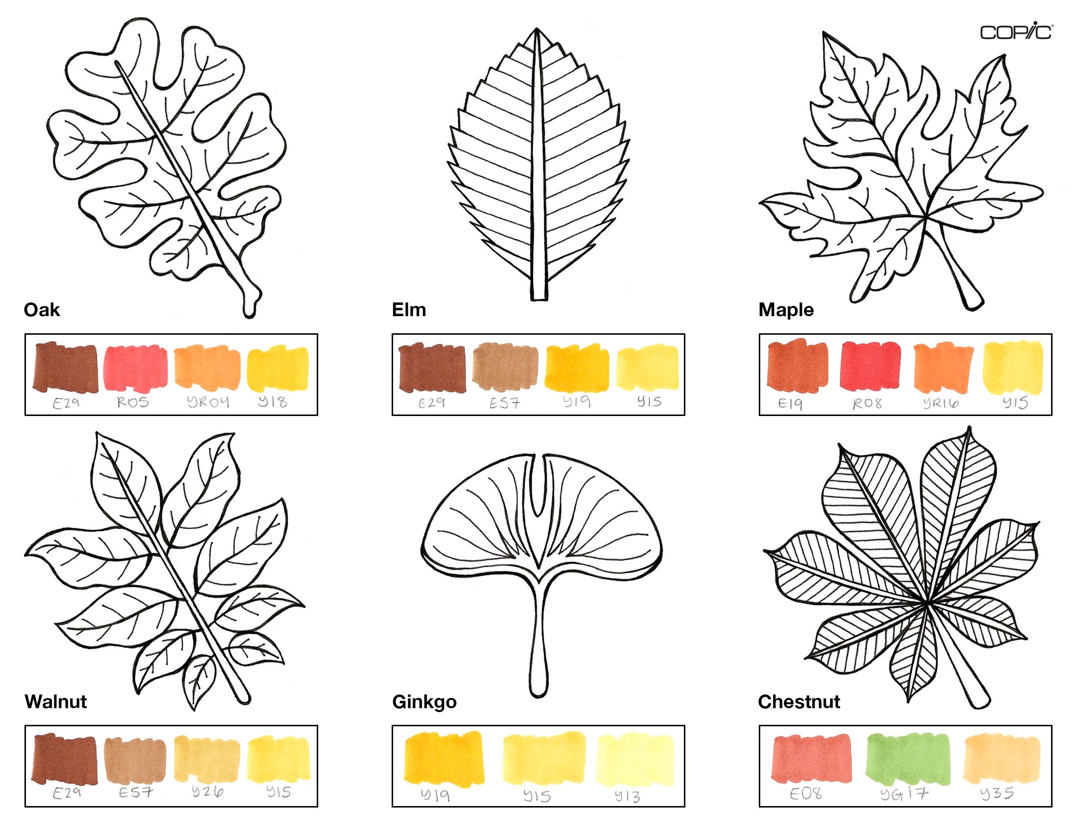 leaf drawing color