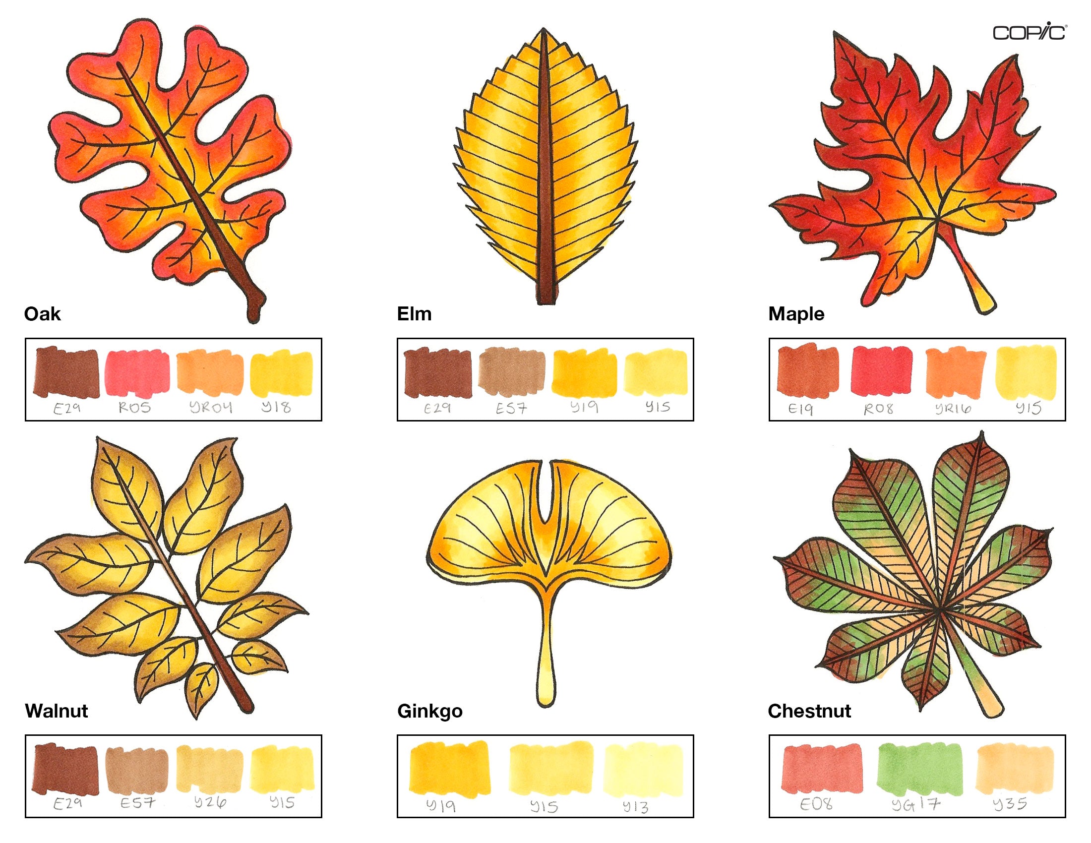 Leaves coloring step 5