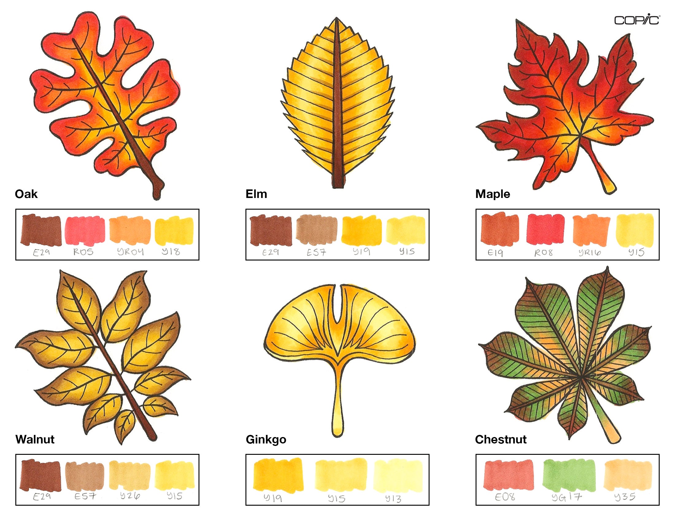 Leaves coloring step 6