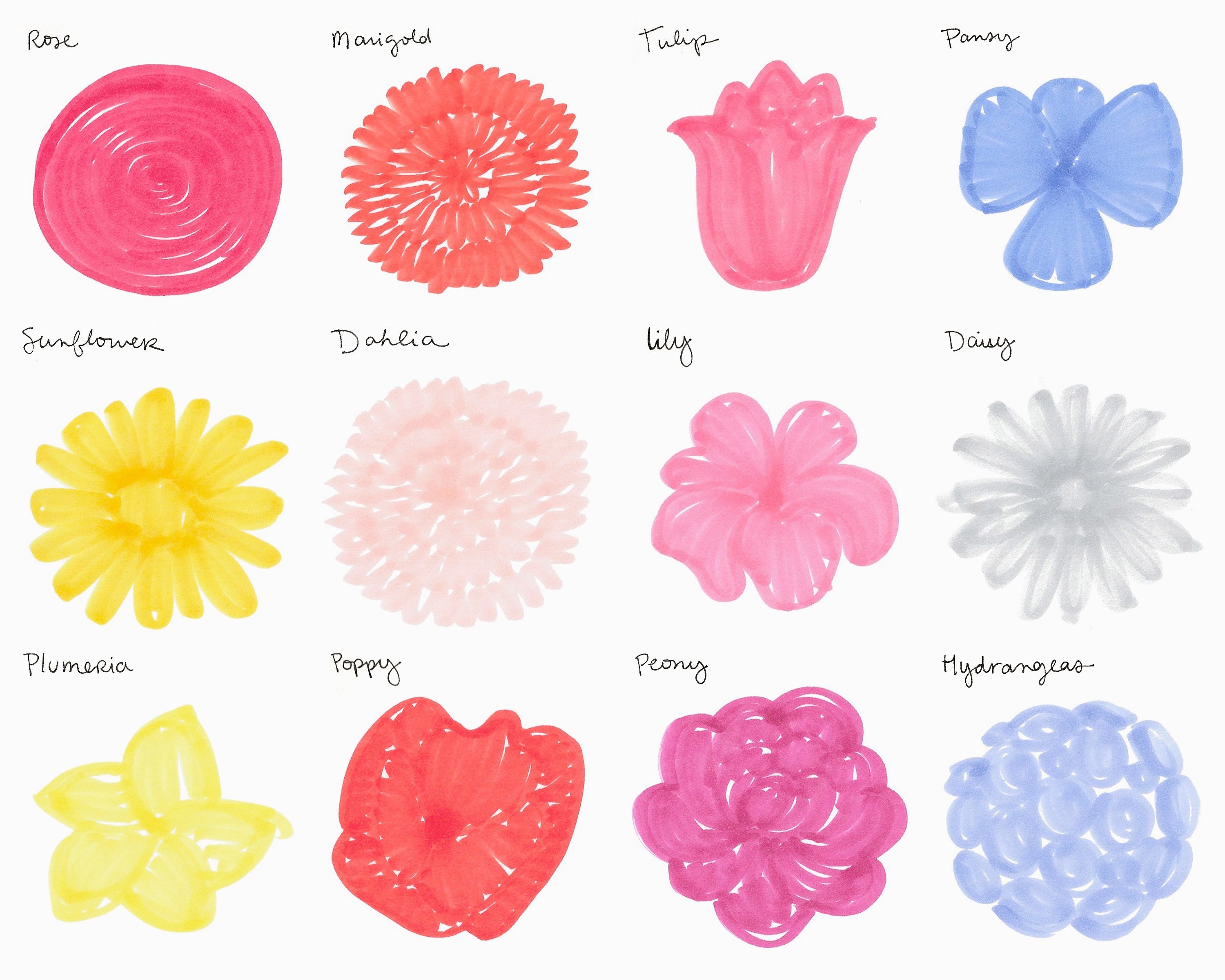 different images of flowers