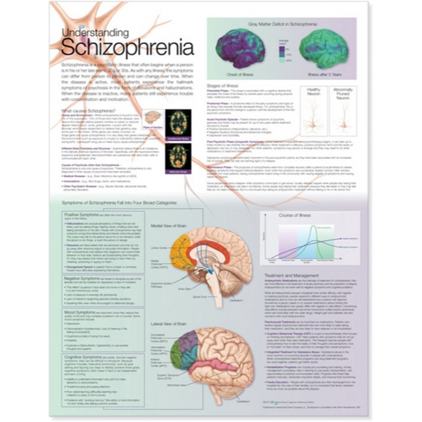 Understanding Schizophrenia Anatomical Chart