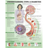 Understanding Type 2 Diabetes Anatomical Chart