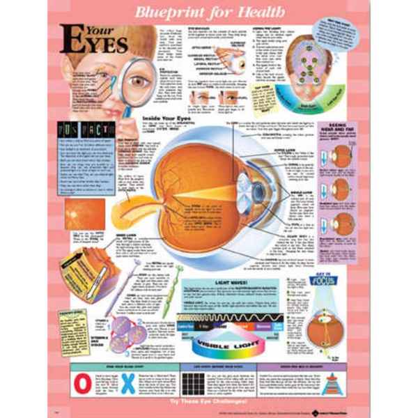 Blueprint for Health Your Eyes Chart