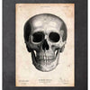 Human Skull Print