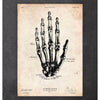 Human Hand Anatomy Print