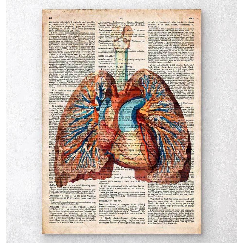 Watercolor heart anatomy art print - Codex Anatomicus