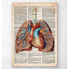 Geometric Heart And Lungs Old Dictionary Page
