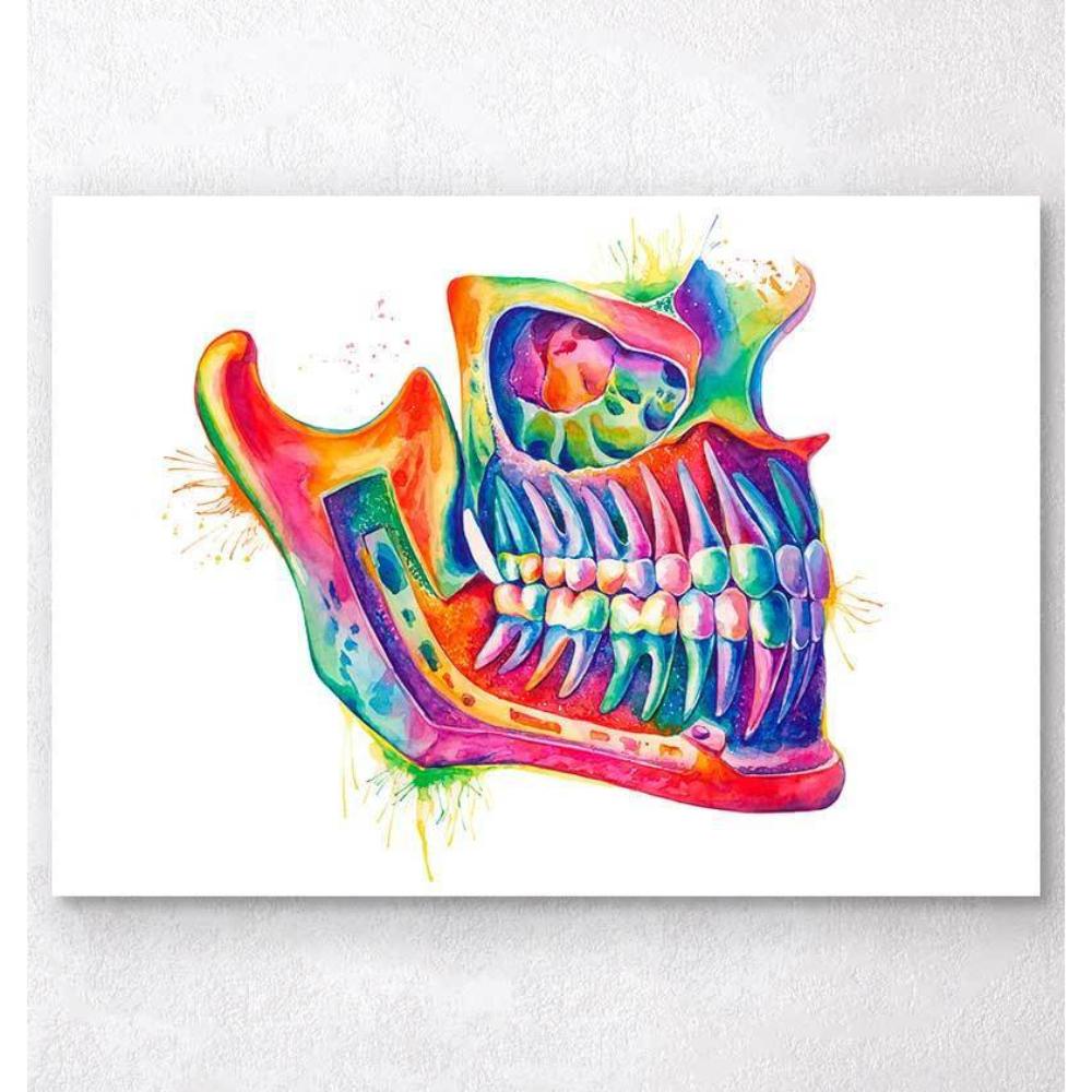 Floral dental anatomy art print - Codex Anatomicus