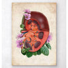 Kidney Anatomy Floral Old Paper