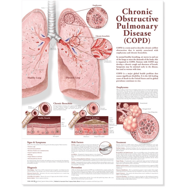 Anatomical Chart Company Anatomical Charts Chronic Obstructive Pulmonary Disease Anatomical Chart