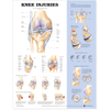 Anatomical Chart Company Anatomical Charts Knee Injuries Anatomical Chart