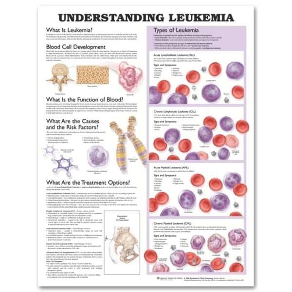 Anatomical Chart Company Anatomical Charts Understanding Leukemia Anatomical Chart