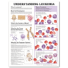 Anatomical Chart Company Anatomical Charts Understanding Leukemia Anatomical Chart