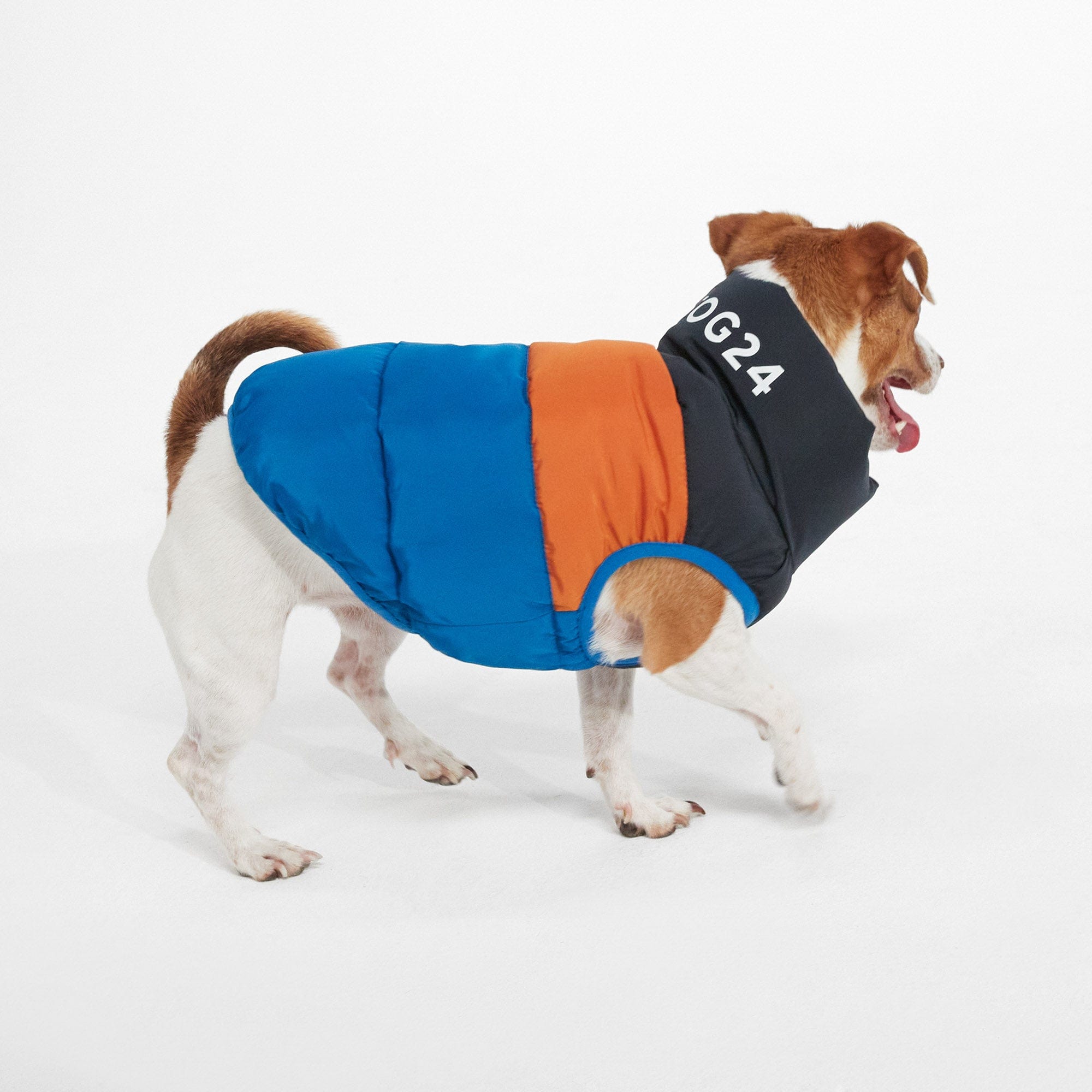 Pooch Padded Dog Coat S - Dark Orange Col Block