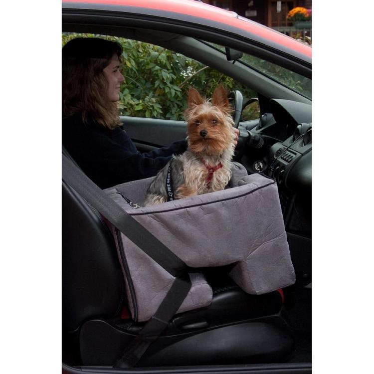 Large Dog Booster Car Seat Charcoal Your One Stop Shop For