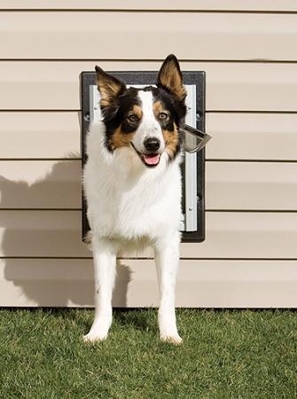 Petsafe Wall Dog Door Medium