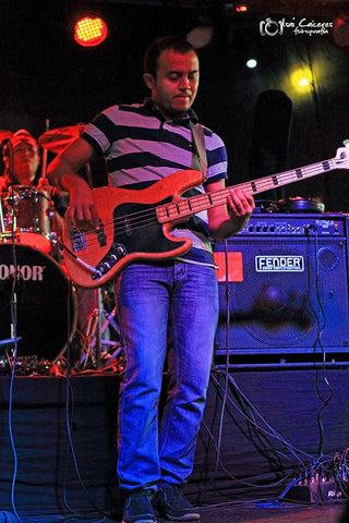 Carlos Dominguez The bass in music