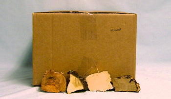 WD100:木材样品试剂盒