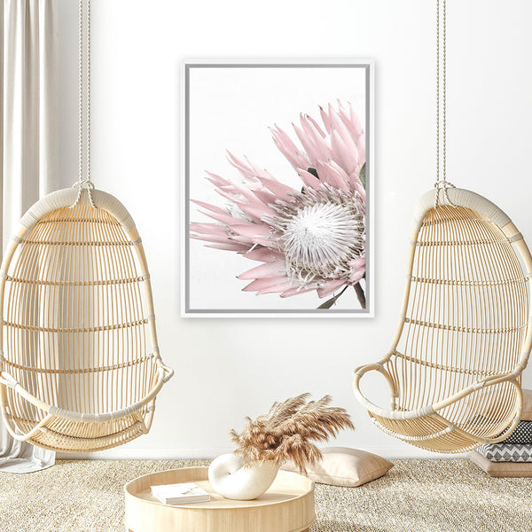 Buy Pastel Protea I Photo Art Print