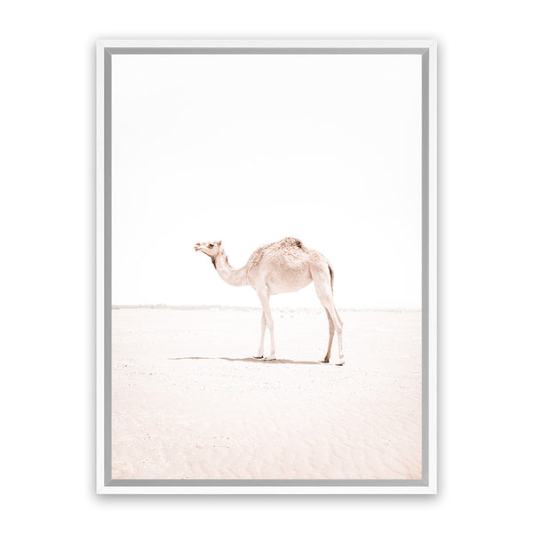 Buy Lone Camel Photo Canvas Art Print The Print Emporium