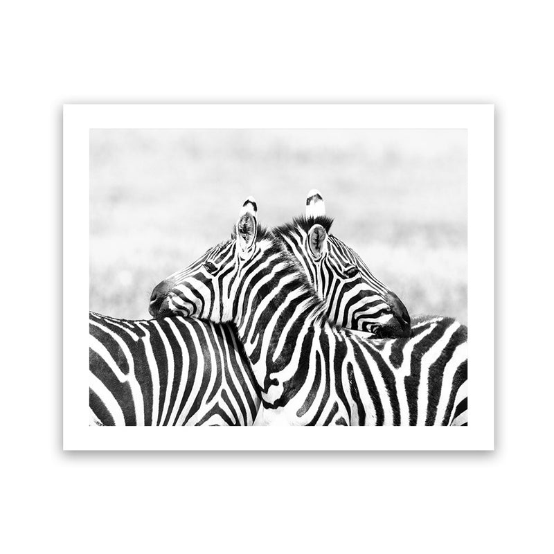 Shop Zebra Hug Photo Art Print-African, Animals, Black, Landscape, Photography, View All, White-framed poster wall decor artwork
