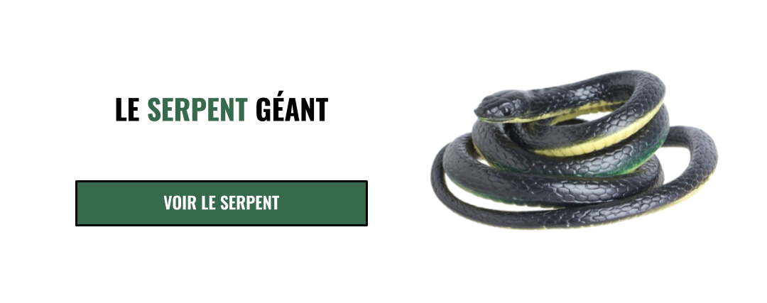 Serpent Géant 