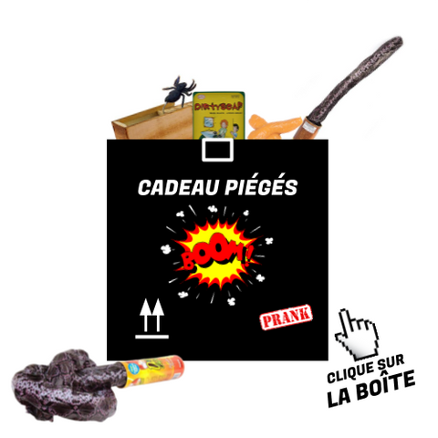 Gadget humoristique : cadeau anniversaire original et rigolo - Cadeaux  anniversaire