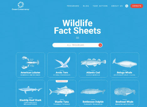 Ocean Conservancy Wildlife Fact Sheets
