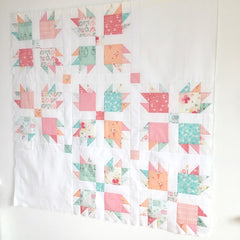 Paw Tracks baby sized quilt pattern by Lou Orth
