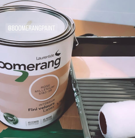 peinture boomrang écologique rose