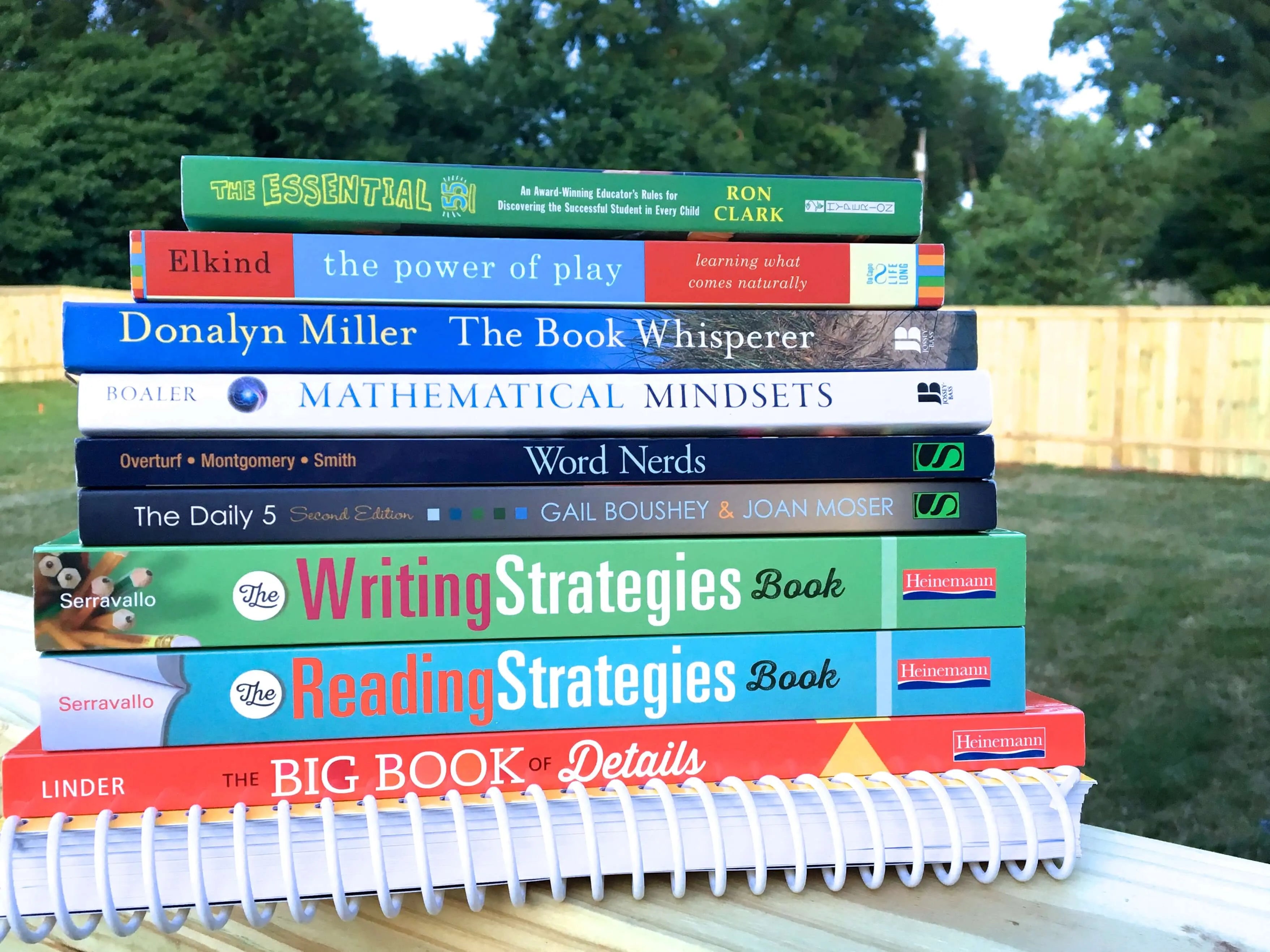 Professional Development Books